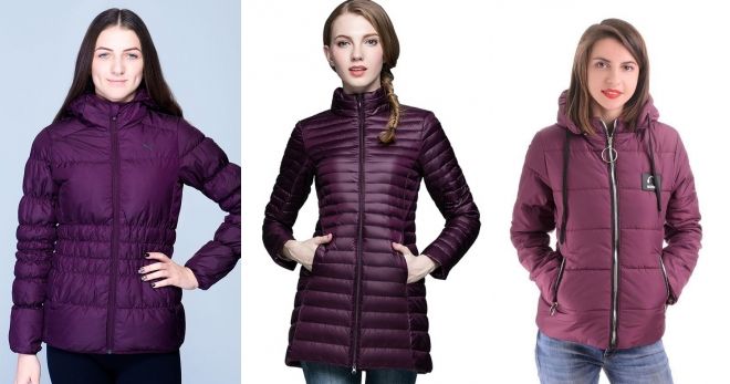 Модный цвет курток 2019 фиолетовый